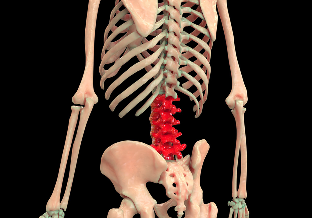 where is the lumbar support