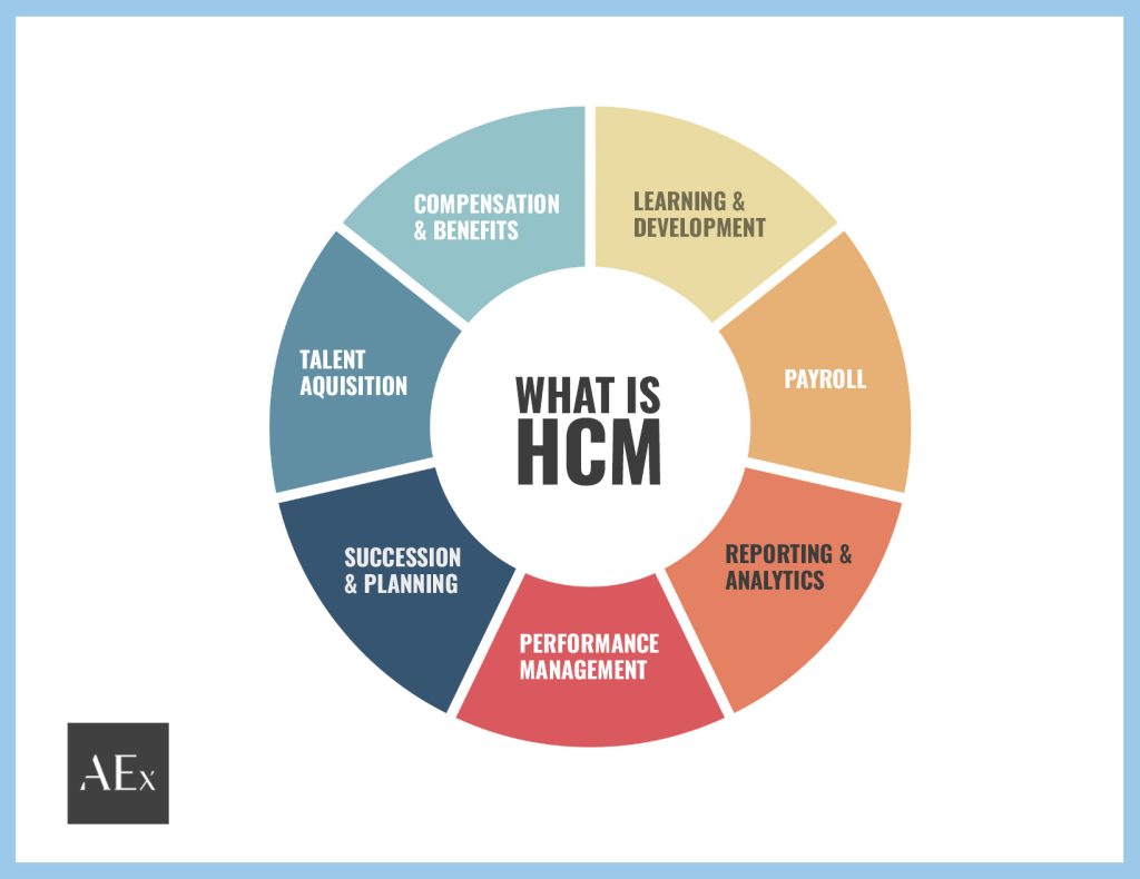 Ultimate Guide To Human Capital Management For 2023