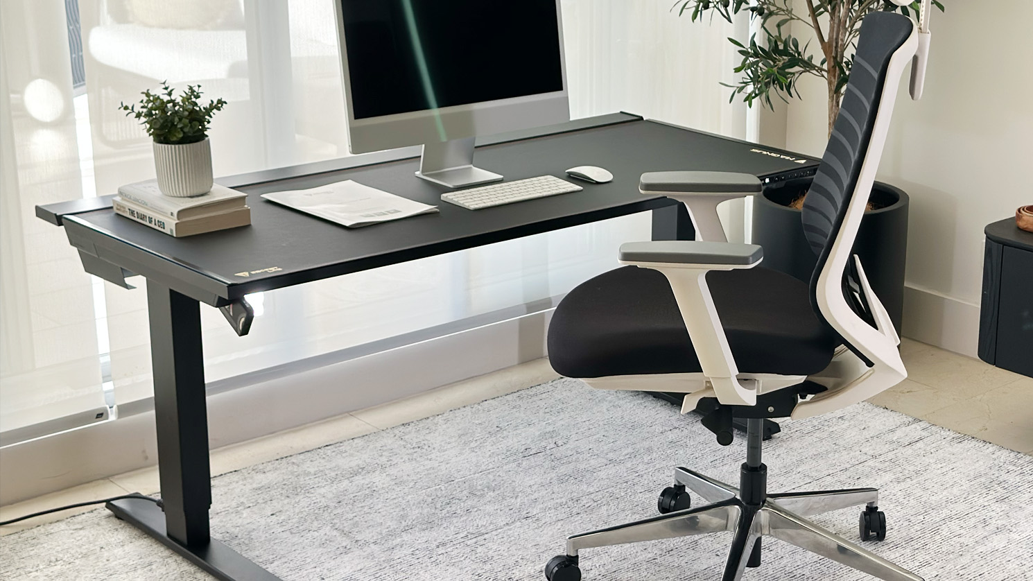 secretlab magnus pro standing desk review