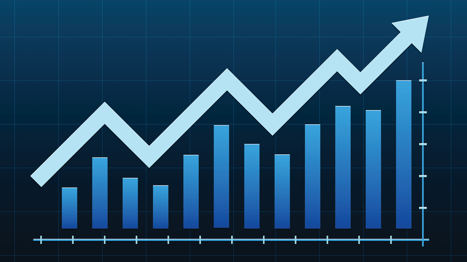 net profit margin