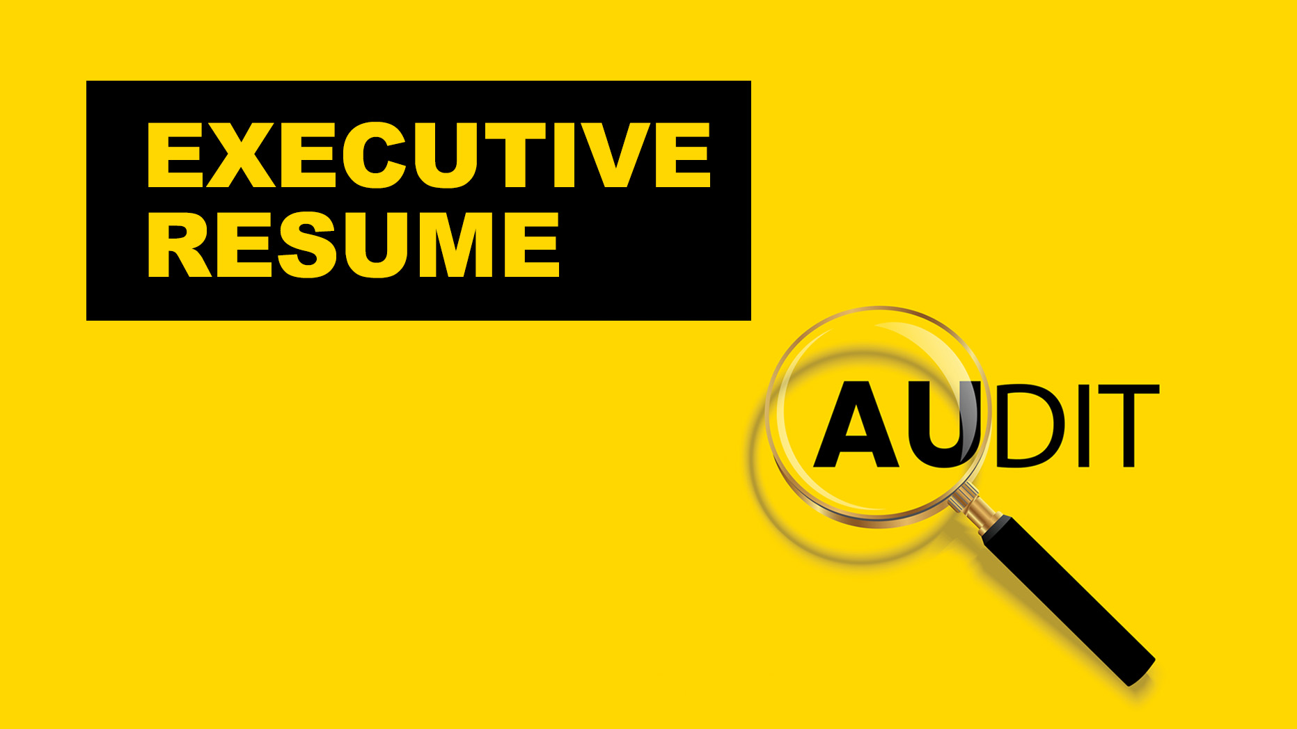 executive resume audit